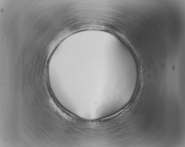 X0000051251379200507152138