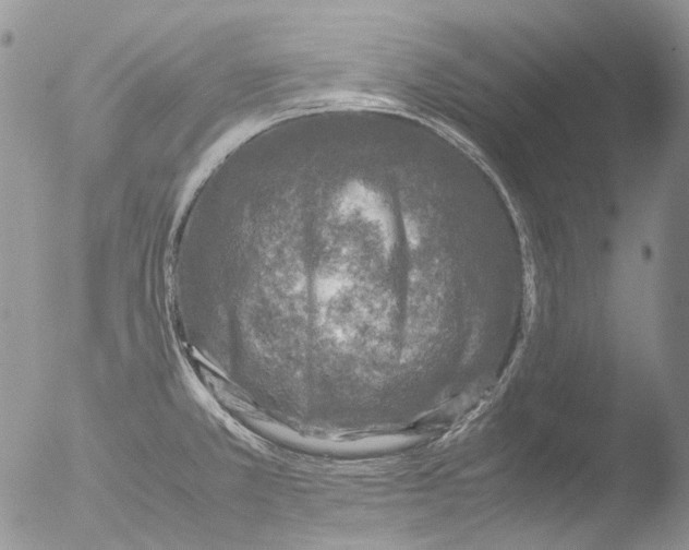 X0000051251381200507152138