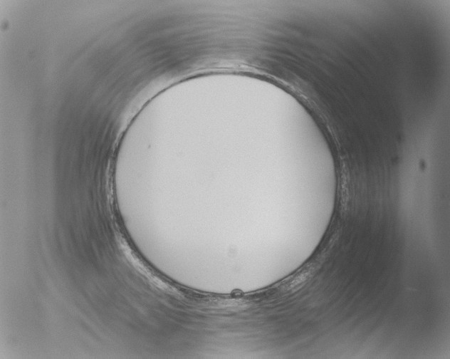 X0000051251382200507152138