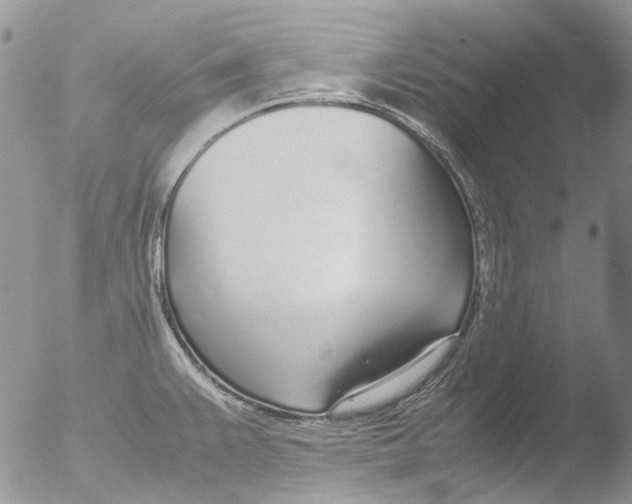 X0000051251383200507152138