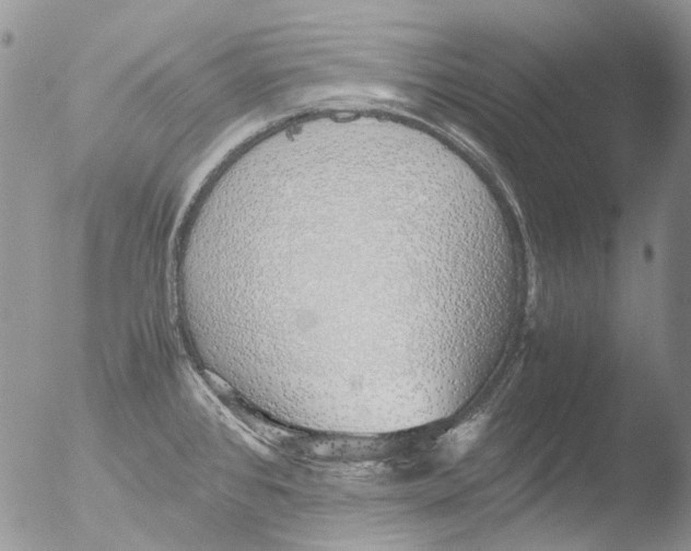 X0000051251384200507152138