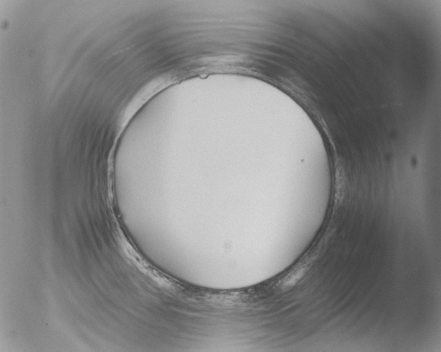 X0000051251386200507152138