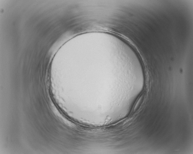 X0000051251387200507152138