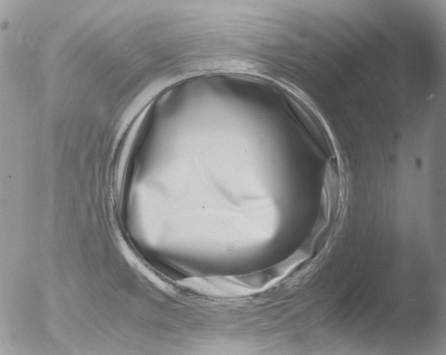 X0000051251389200507152138