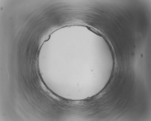 X0000051251390200507152138