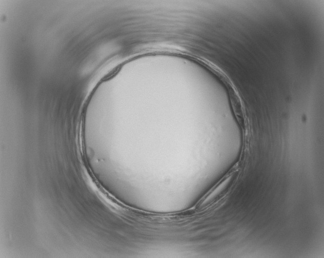 X0000051251391200507152138