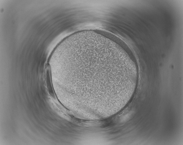 X0000051251392200507152138