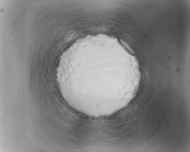 X0000051251393200507152137