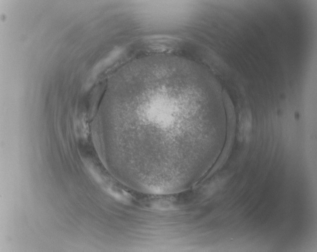 X0000051251394200507152137