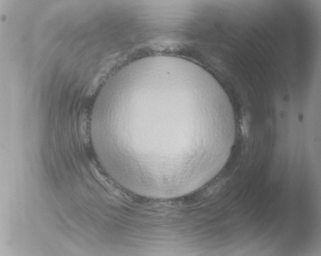 X0000051251396200507152137