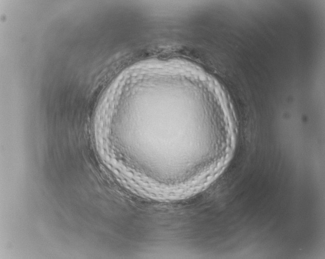 X0000051251397200507152137