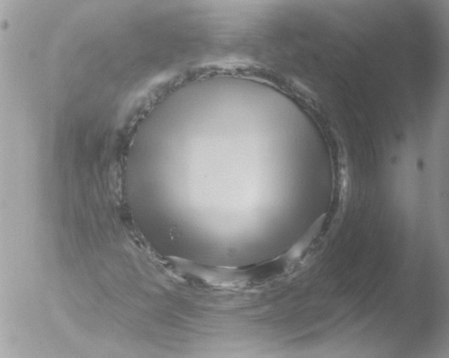 X0000051251398200507152137