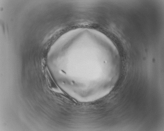 X0000051251399200507152137