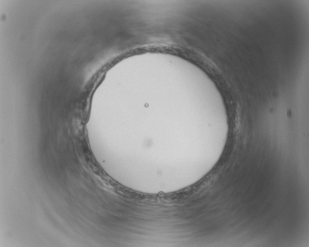 X0000051251400200507152137