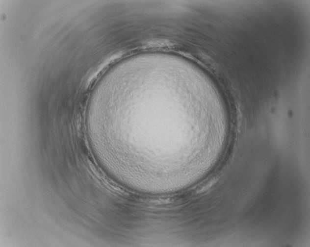 X0000051251401200507152137