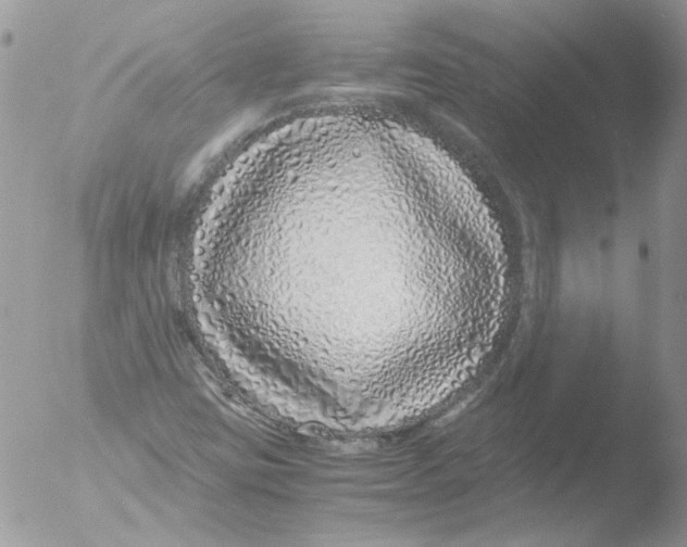 X0000051251403200507152137