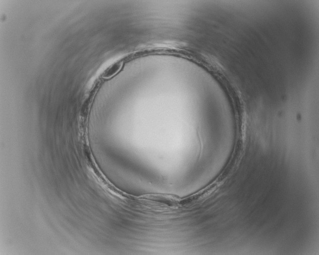 X0000051251404200507152137