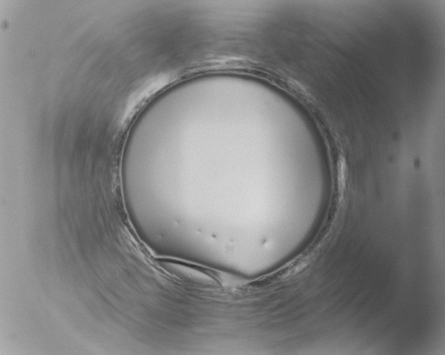 X0000051251405200507152137