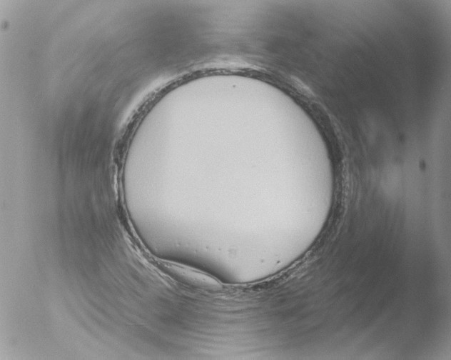 X0000051251408200507152137