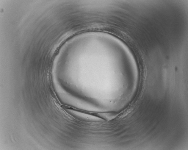 X0000051251409200507152137