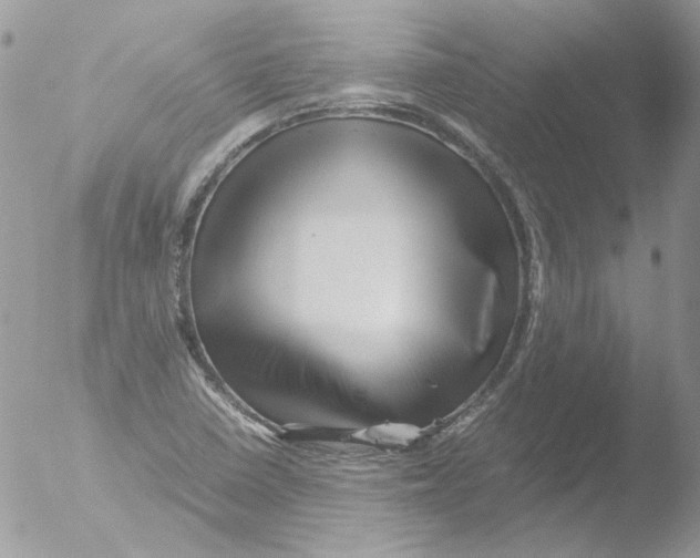 X0000051251410200507152137