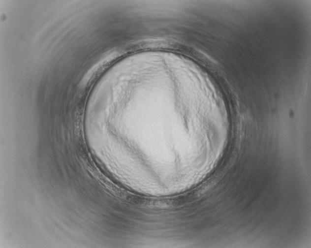 X0000051251411200507152138