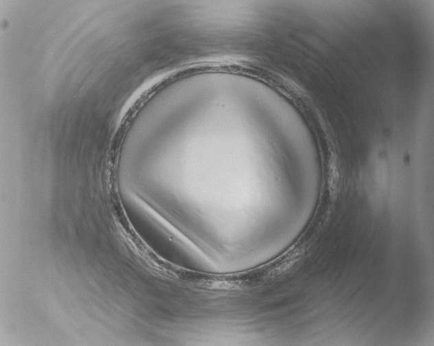 X0000051251412200507152138