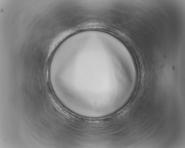 X0000051251413200507152138