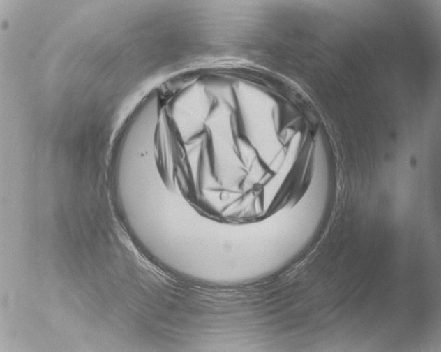 X0000051251414200507152138