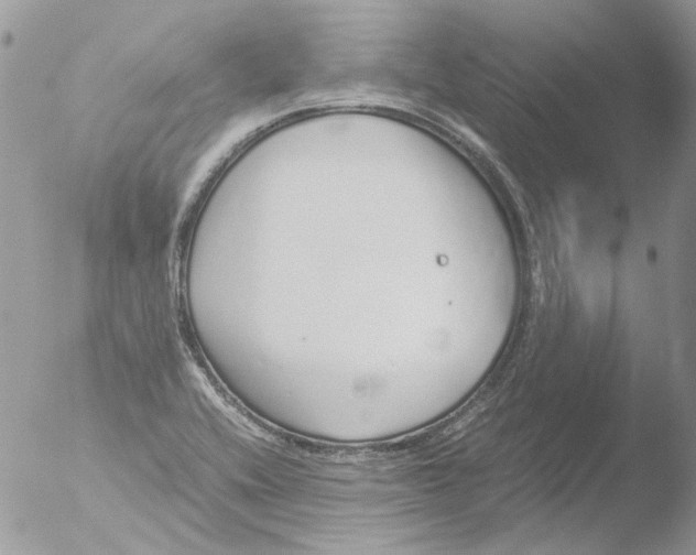 X0000051251416200507152138