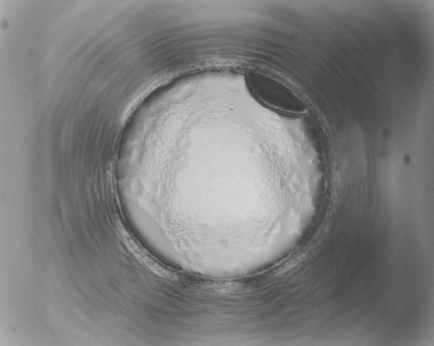 X0000051251417200507152138