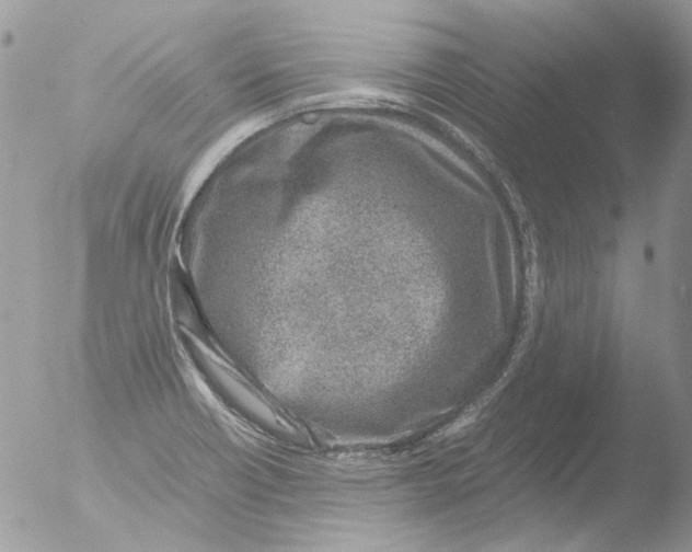 X0000051251418200507152138