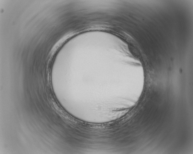 X0000051251419200507152138