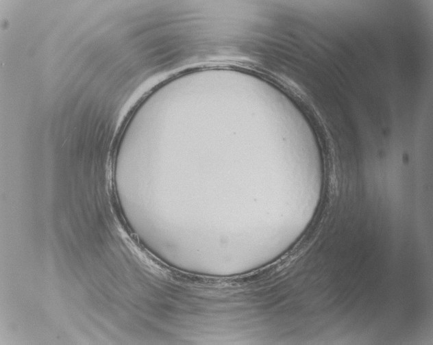 X0000051251420200507152138