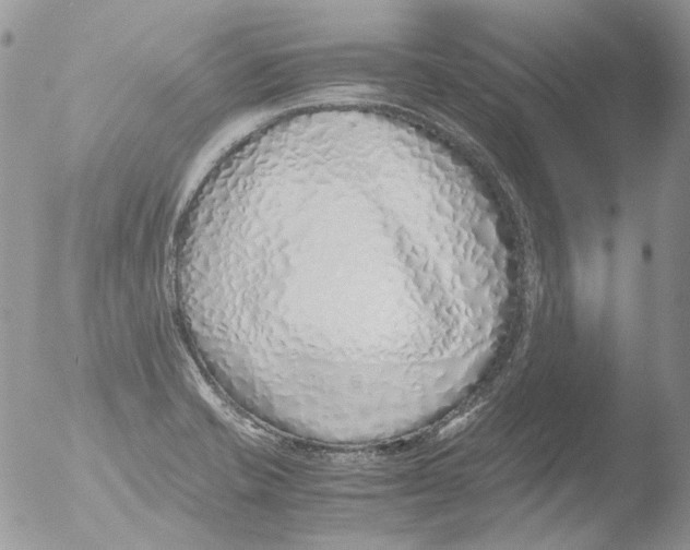 X0000051251421200507152138