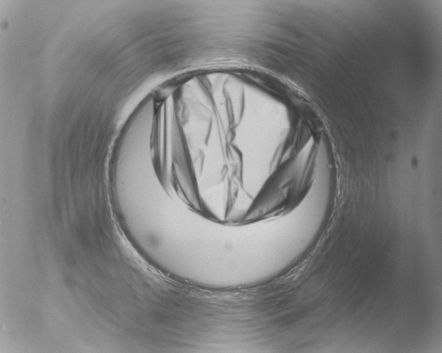 X0000051251422200507152138