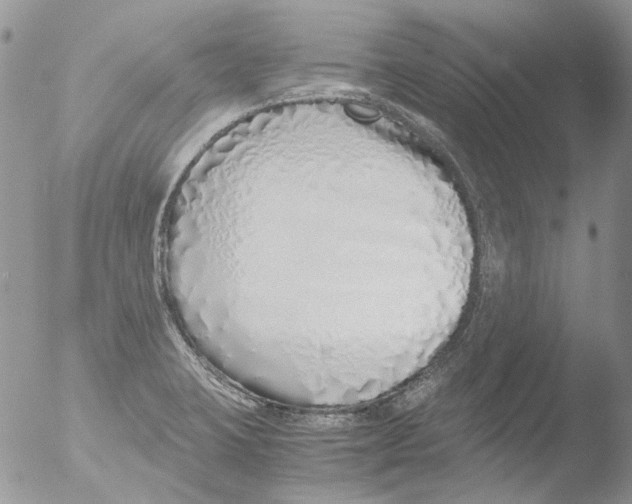 X0000051251423200507152138