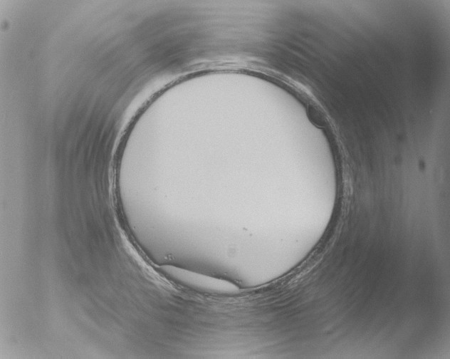 X0000051251424200507152138