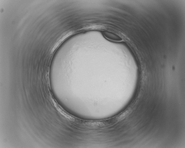 X0000051251425200507152138