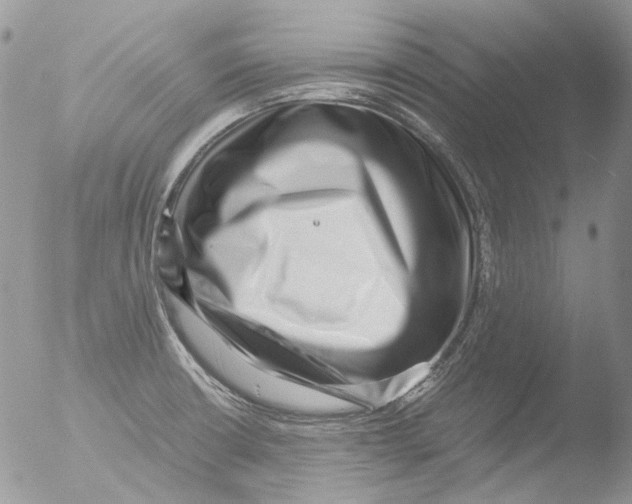 X0000051251426200507152138