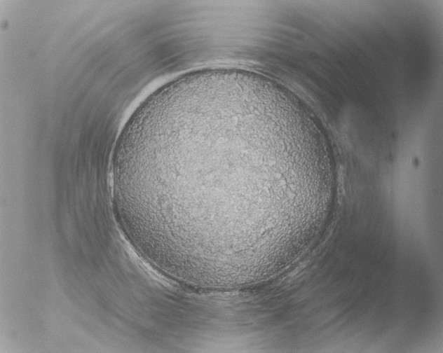 X0000051251428200507152138