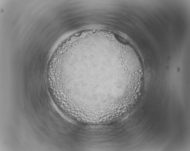 X0000051251429200507152138