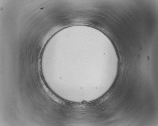 X0000051251431200507152138