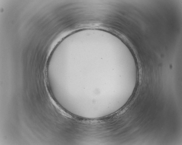 X0000051251432200507152138