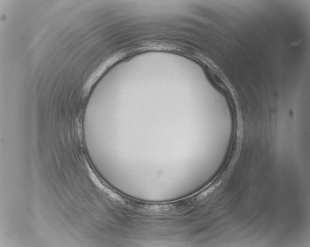 X0000051251433200507152138