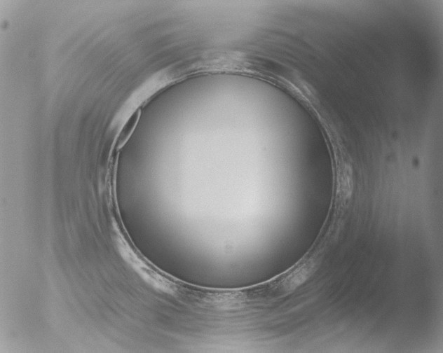 X0000051251434200507152138