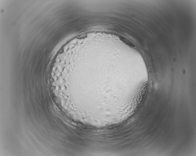 X0000051251435200507152138