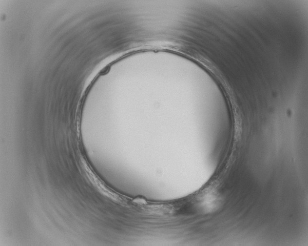 X0000051251436200507152138