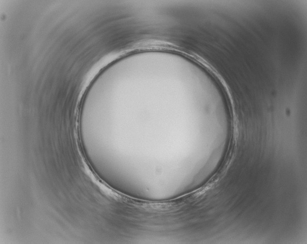 X0000051251437200507152138