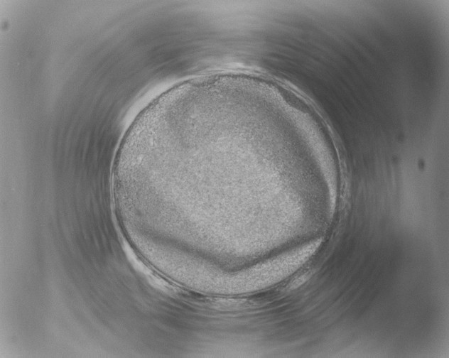 X0000051251439200507152138